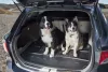 Nissan LEAF (II) ( 2017- ) FROGUM Pro-Line portbagaj înalt