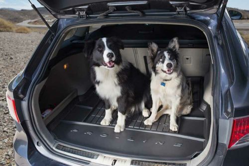 Alfa Romeo 147 ( 2000-2010 ) Pro-Line Frogum Frogum portbagaj cu profil înalt și precizie de dimensiuni