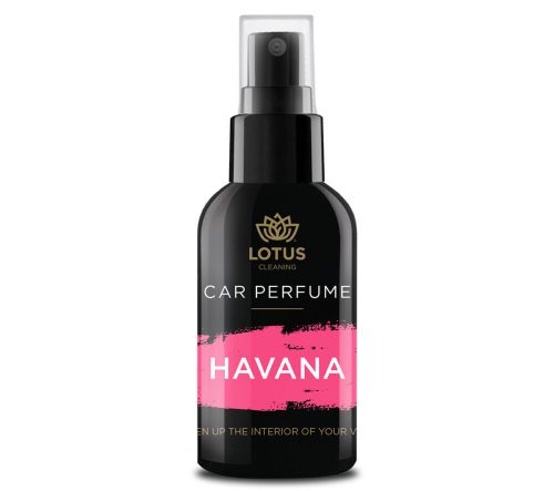 Parfum de mașină Havana (100 ml)