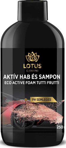 Spumă și șampon activ pentru mașini (250 ml)