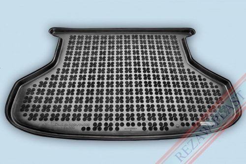 Lexus RX II 300, 350, 400h ( 2003-2008 ) talon înalt Rezaw-Plast