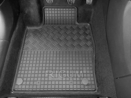 Nissan JUKE (II) (2019-) Rigum