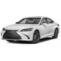 Covoraș cauciuc Lexus ES