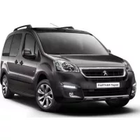 Covoraș cauciuc Peugeot PARTNER