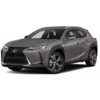 Covoraș cauciuc Lexus UX