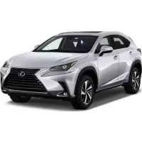 Covoraș cauciuc Lexus NX