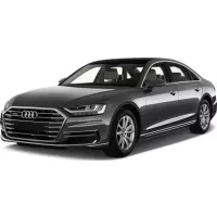 Covoraș cauciuc Audi A8